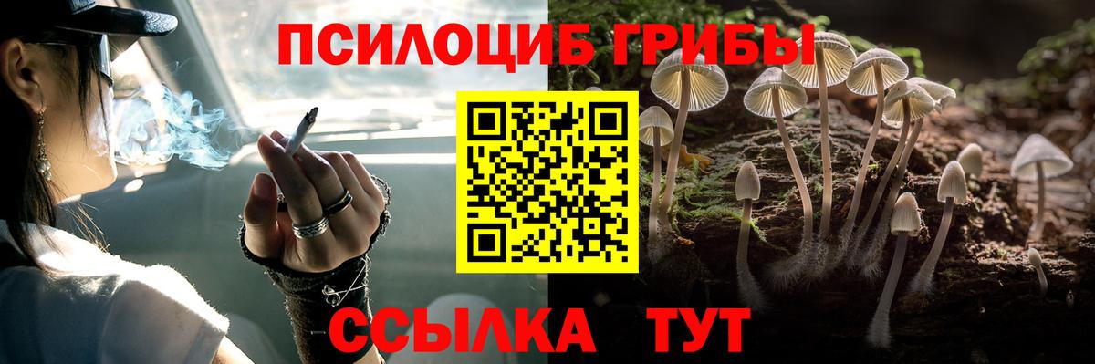 Галлюциногенные грибы Magic Shrooms  Вход с VPN  Черкесск 